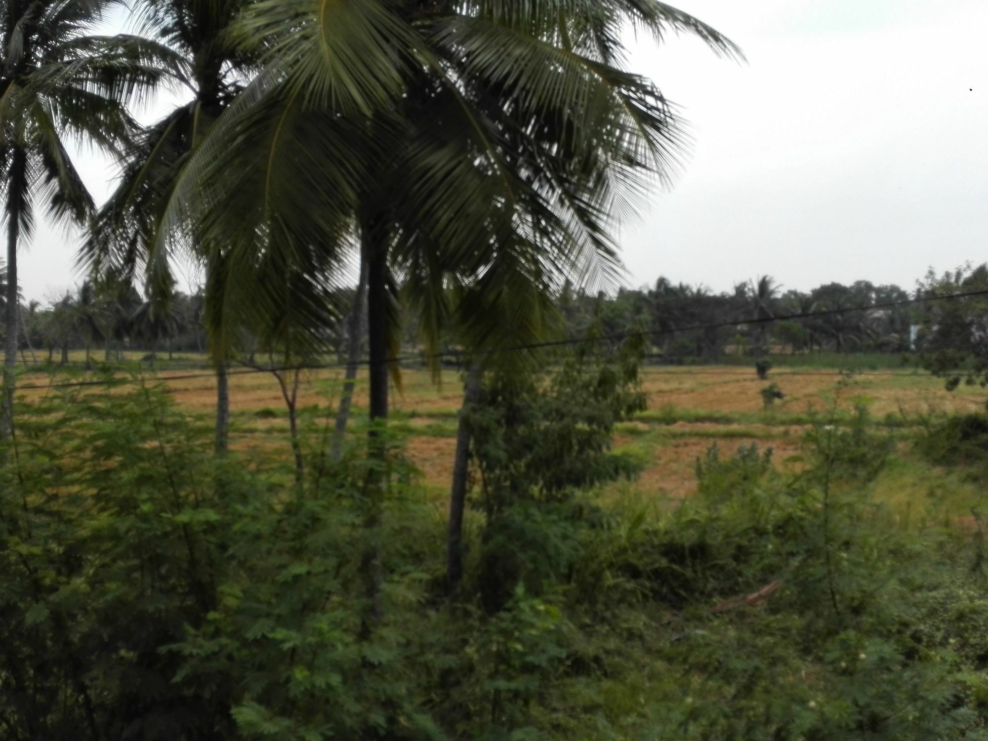 Salubrious Resort Anuradhapura Exteriör bild