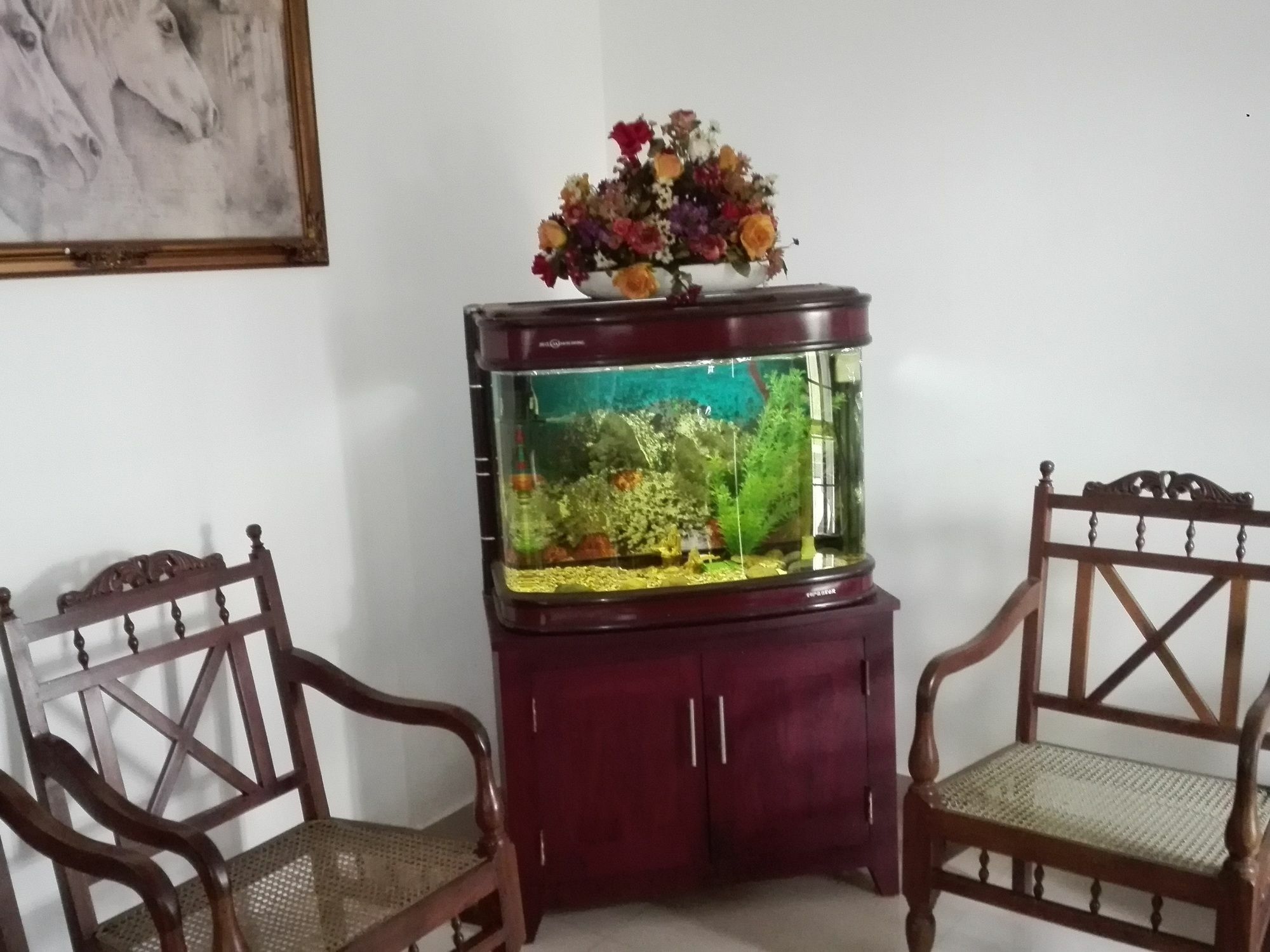 Salubrious Resort Anuradhapura Exteriör bild